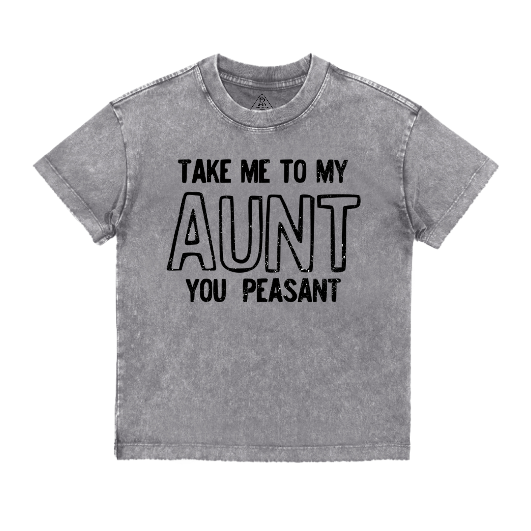 Take Me To My Aunt You Peasant Toddler&Kids Washed Tees