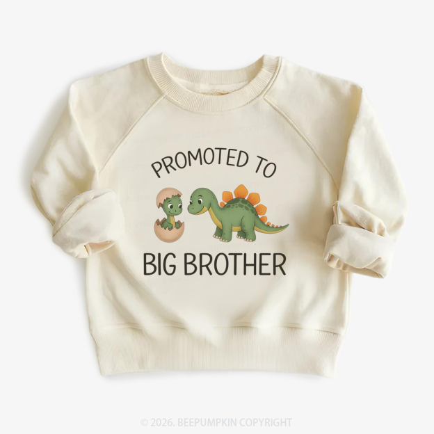 Promoted to Big Brother Kid's Sweatshirt
