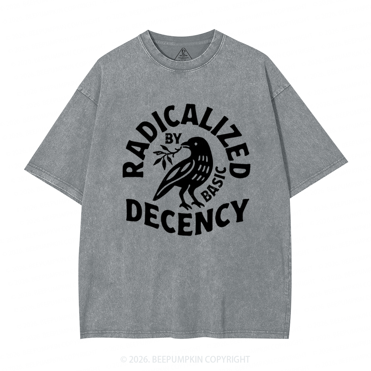 Radicalized By Basic Decency Washed T-Shirts