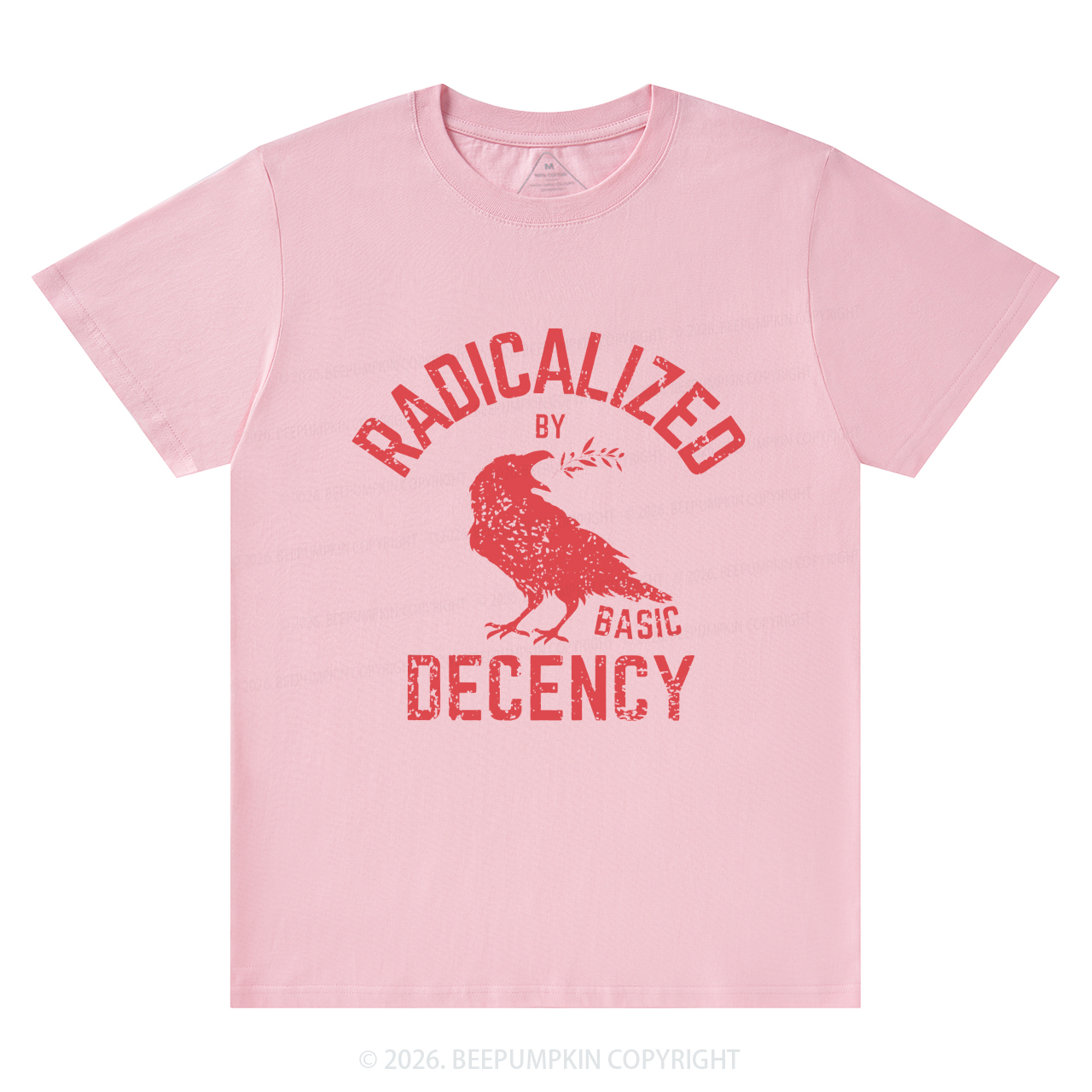 Radicalized By Basic Decency Equality T-Shirts