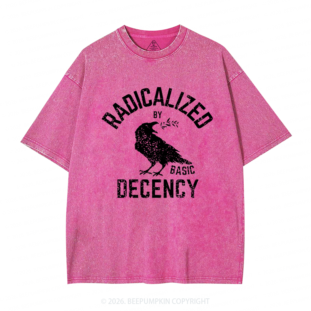 Radicalized By Basic Decency Equality Washed T-Shirts