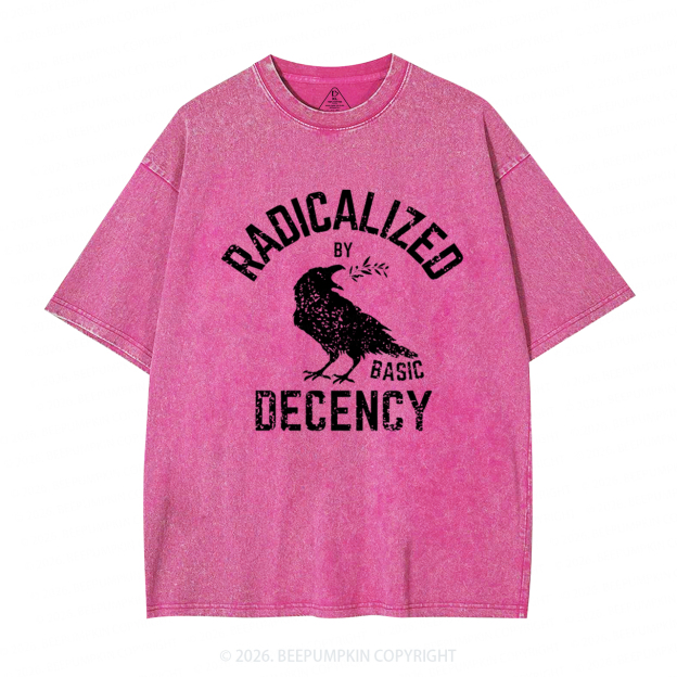 Radicalized By Basic Decency Equality Washed T-Shirts