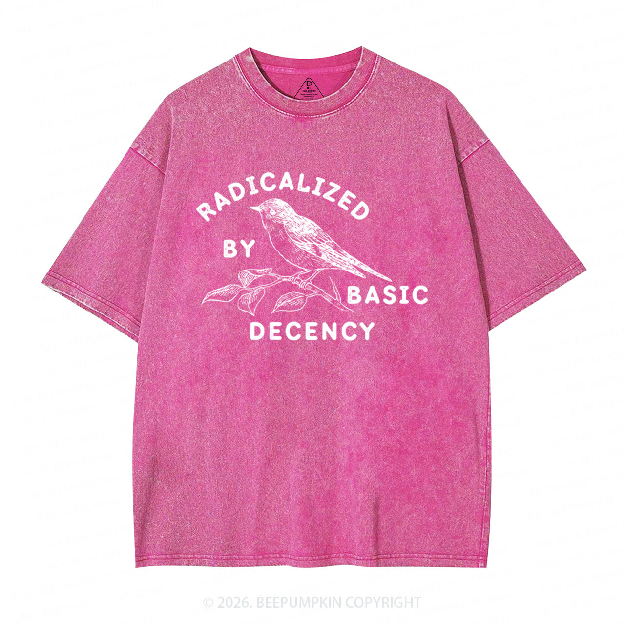 Radicalized By Basic Decency Activist Washed T-Shirts
