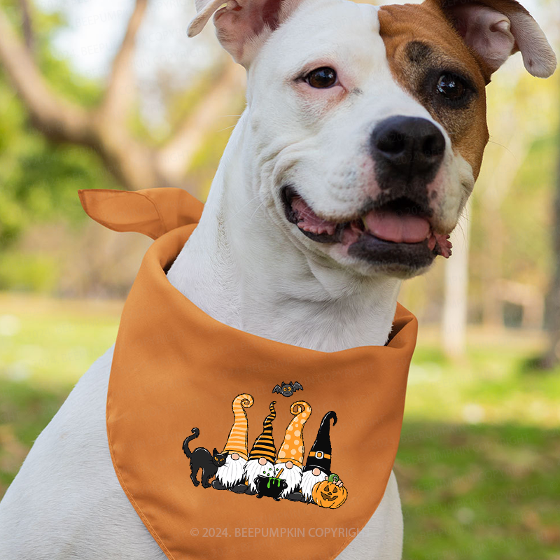 Halloween Gnomes Family Matching Shirts