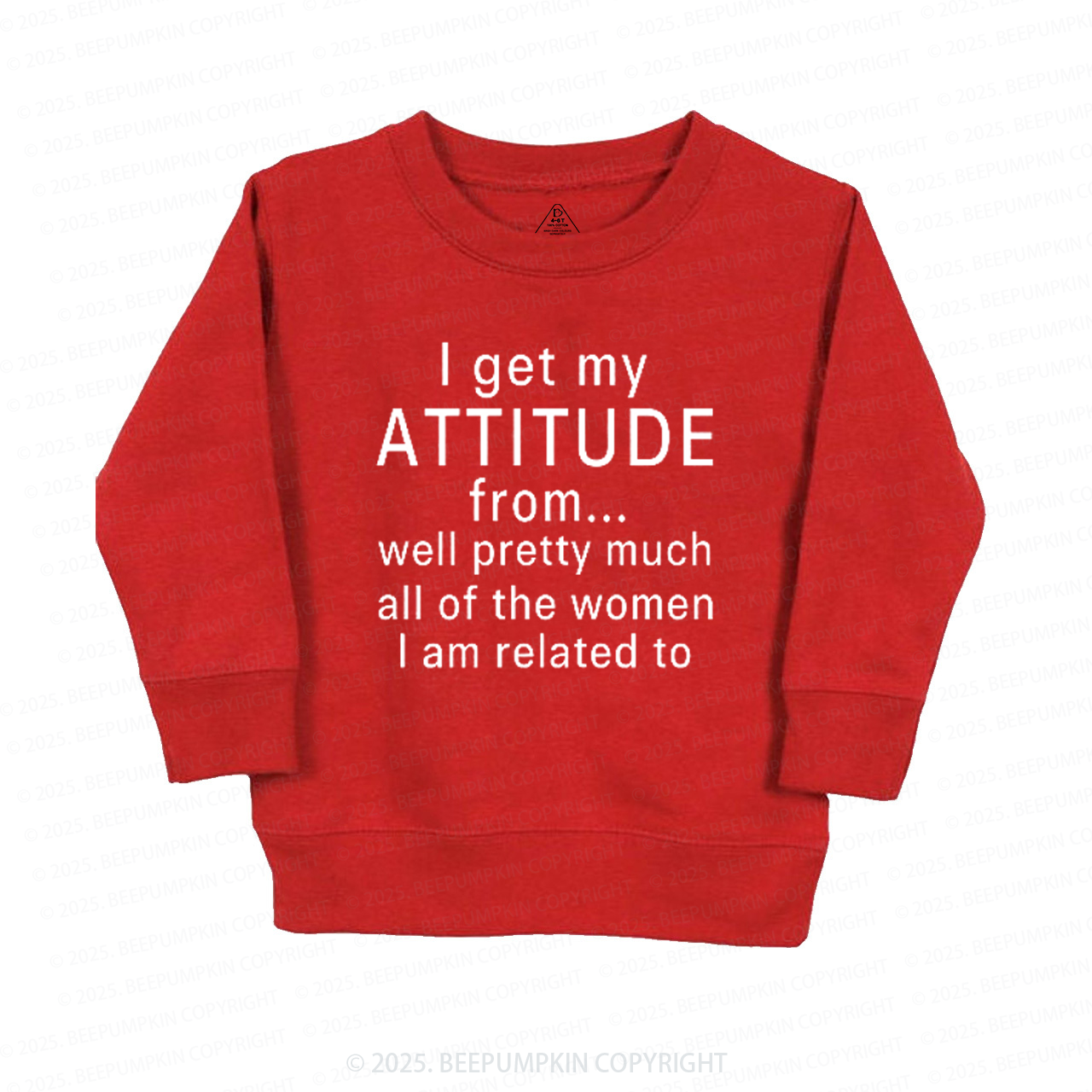 I Get My Attitude From Pretty Much All Of The Women I Am Related To Kids Sweatshirt