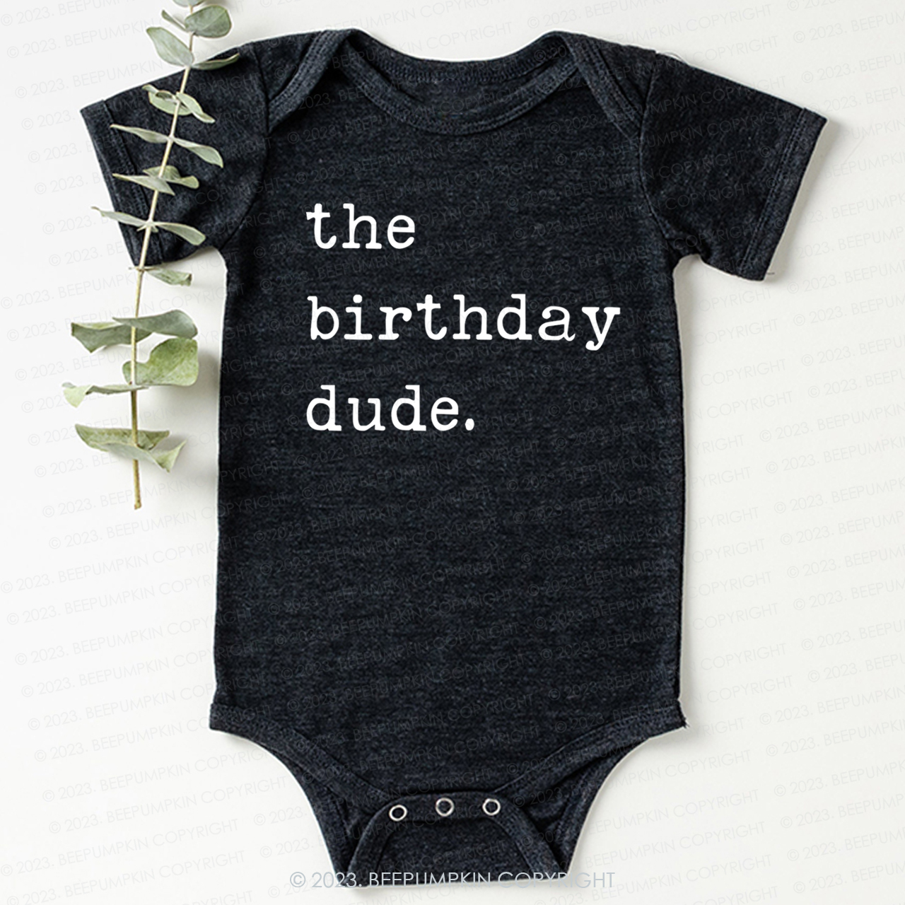 The Birthday Dude Bodysuit For Baby