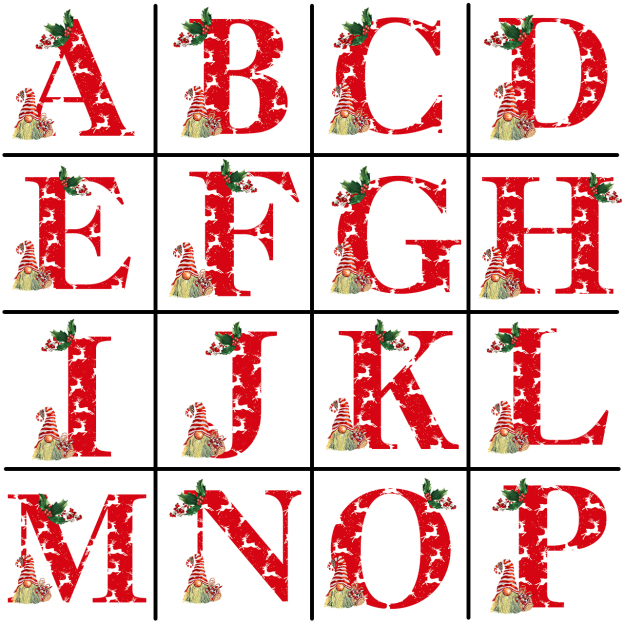 Personalized Monogrammed Family Christmas Gift Shirt