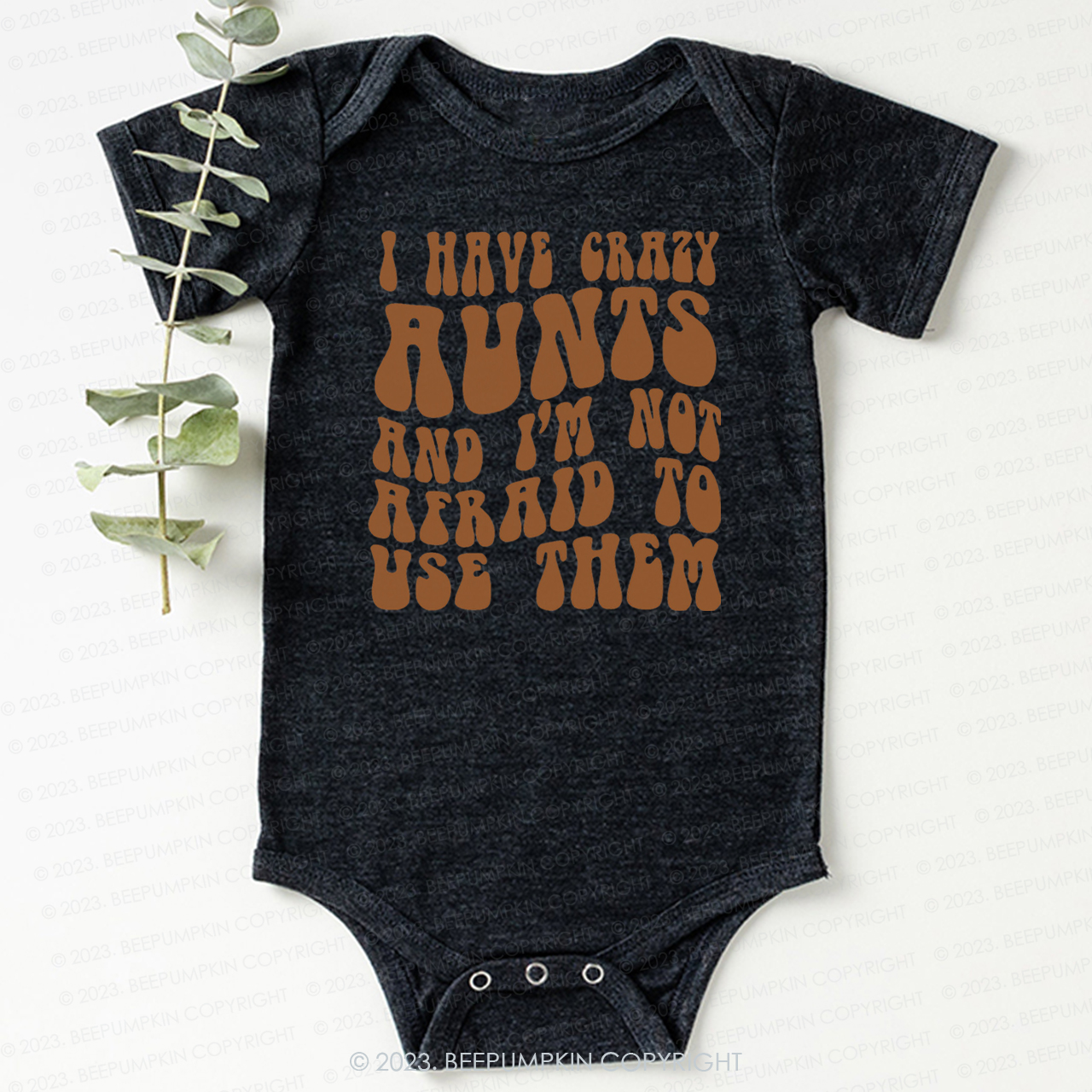 I Have Crazy Aunts and I'm Not Afraid To Use Them Bodysuit For Baby