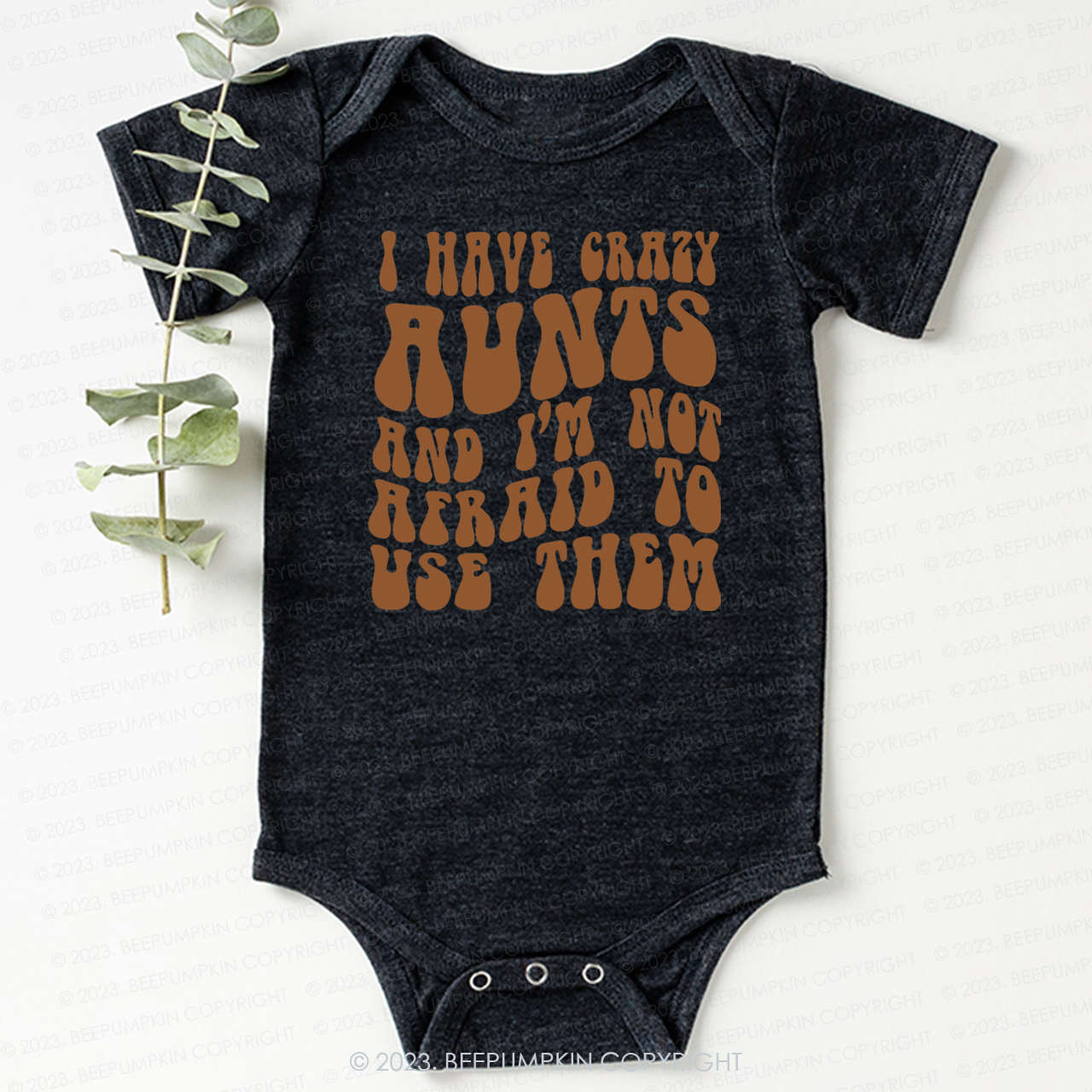 I Have Crazy Aunts and I'm Not Afraid To Use Them Bodysuit For Baby