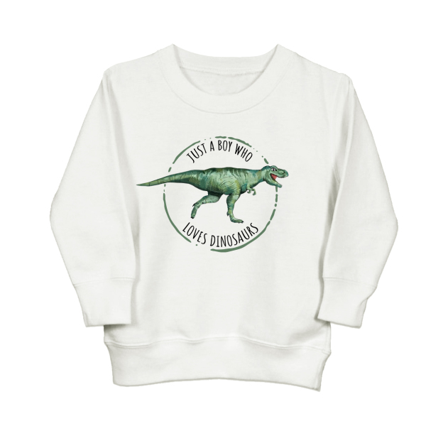 Just A Boy Who Loves Dinosaurs Kids Sweatshirt