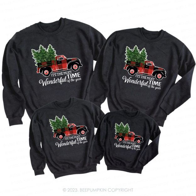 Most Wonderful Time Of The Year Christmas Family Sweatshirts
