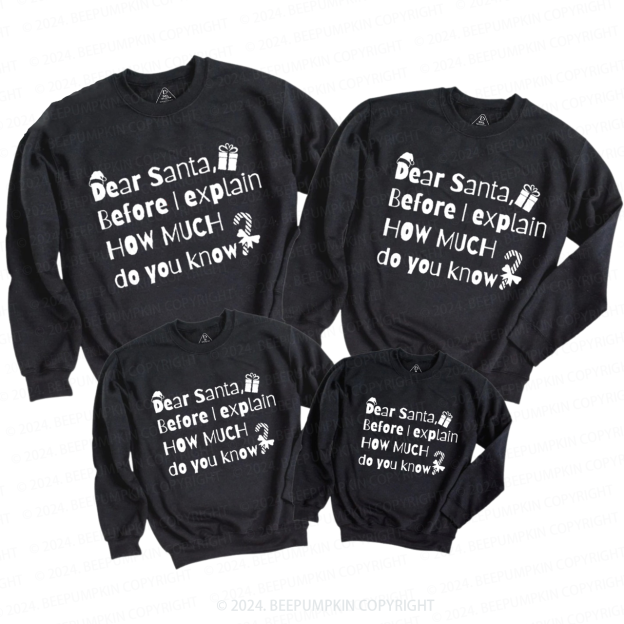 Funny Christmas  Holiday Family Christmas Sweatshirt