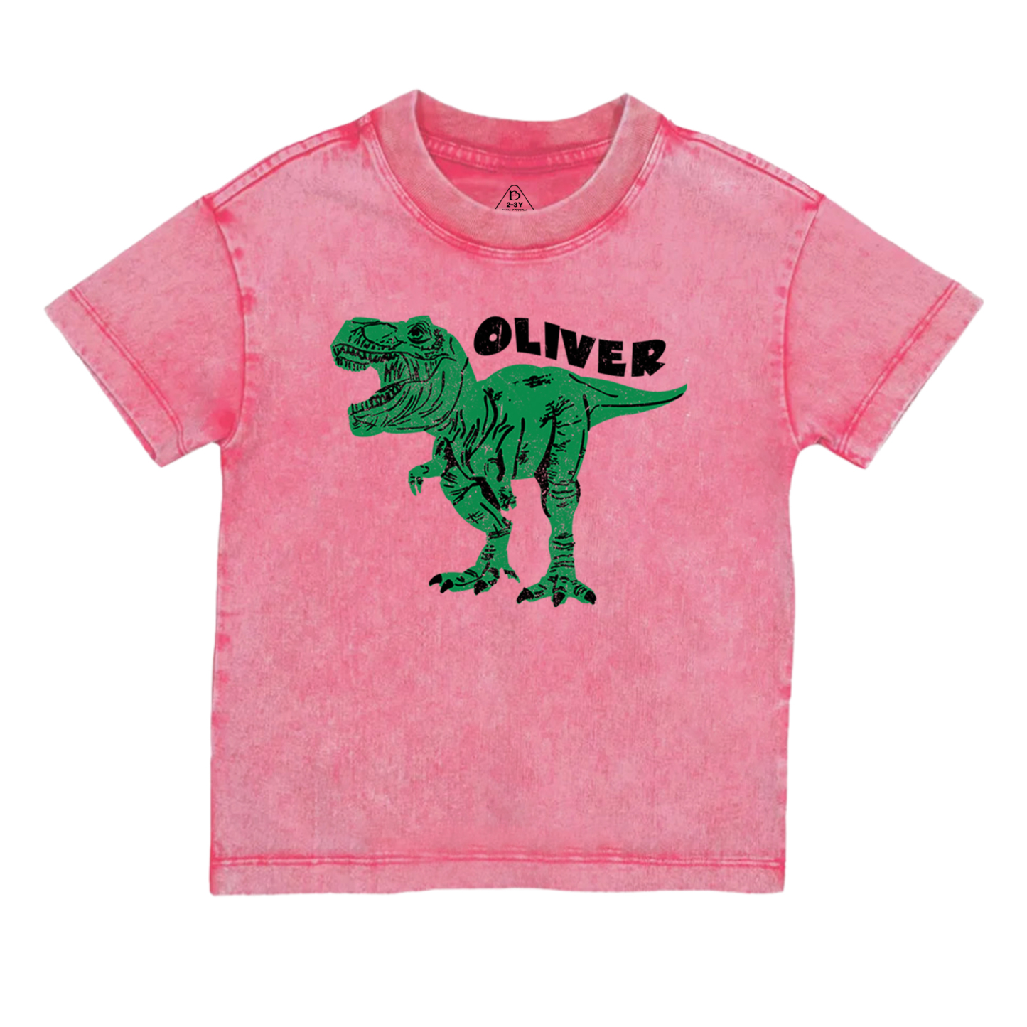  Personalized Dinosaur Toddler&Kids Washed Tees         