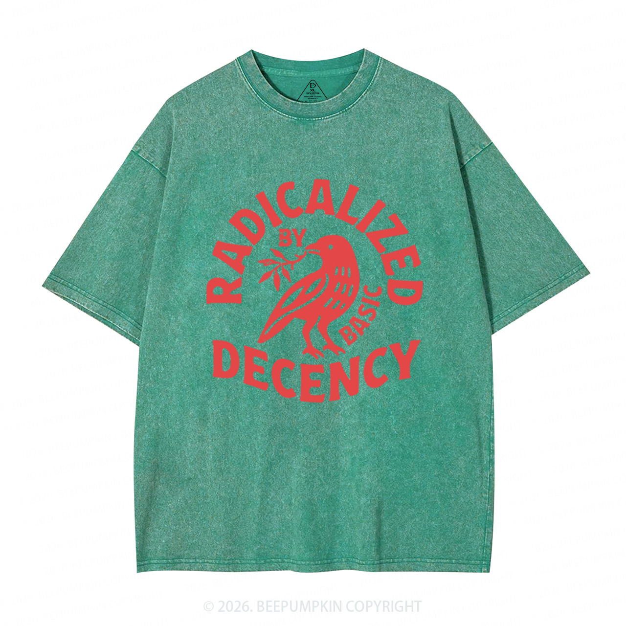 Radicalized By Basic Decency Washed T-Shirts