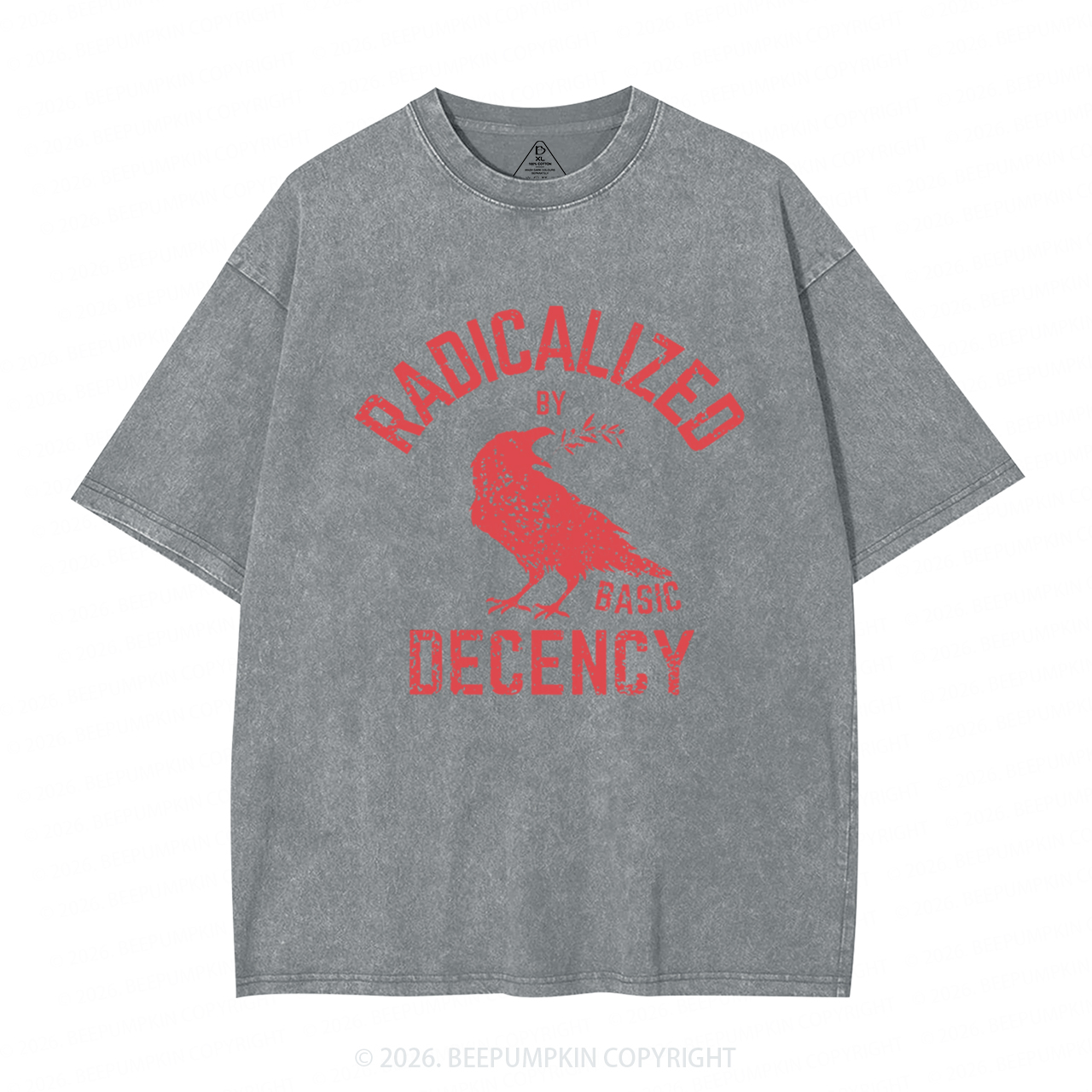 Radicalized By Basic Decency Equality Washed T-Shirts