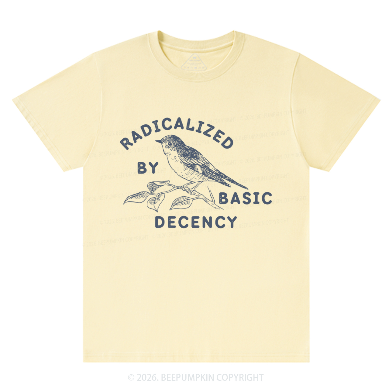 Radicalized By Basic Decency Activist T-Shirts