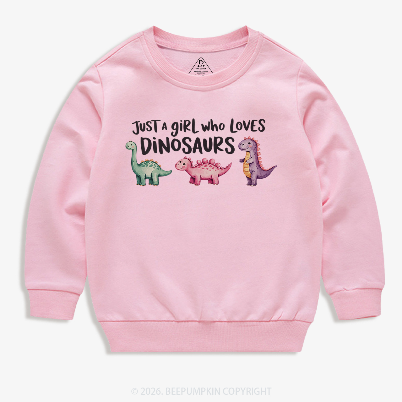 Just A Girl Who Loves Dinosaurs Kid's Sweatshirt