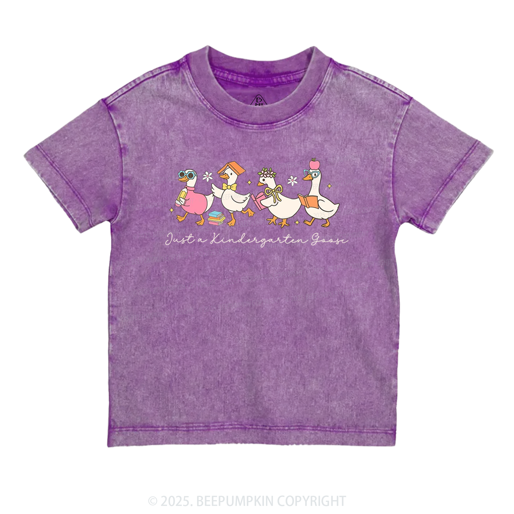 Personalized Back To School Goose Toddler&Kids Washed Tees