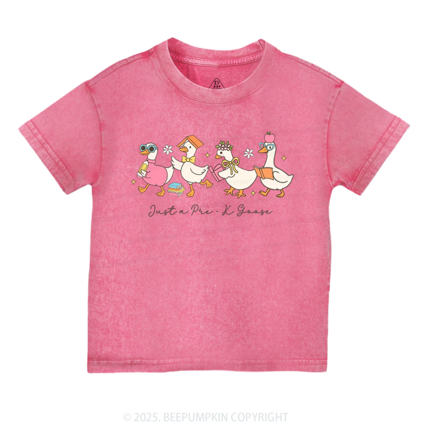 Personalized Back To School Goose Toddler&Kids Washed Tees