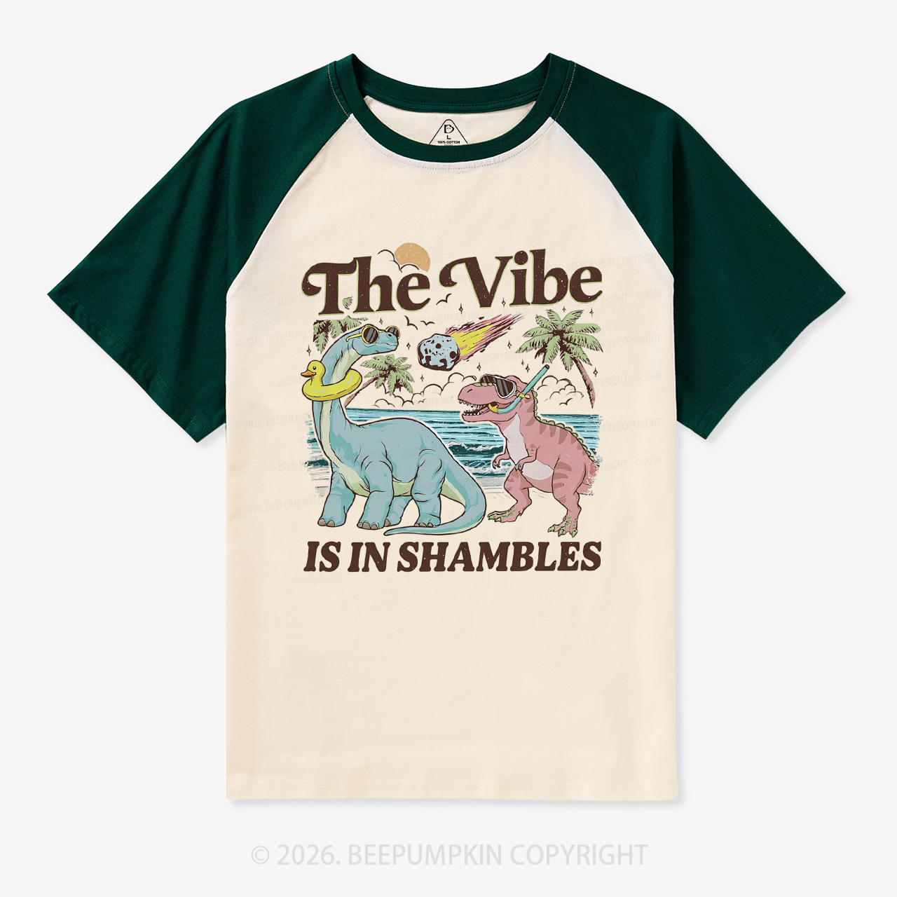 The Vibe Is In Shambles Funny Dinosaur Retro Raglan T-Shirt