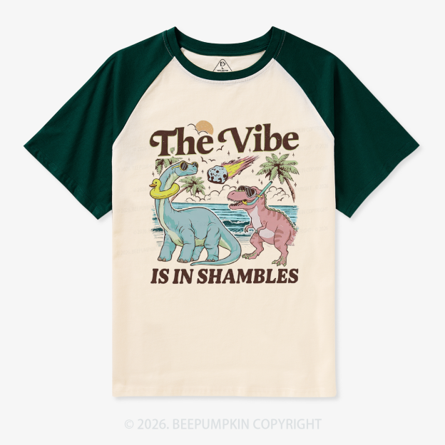 The Vibe Is In Shambles Funny Dinosaur Retro Raglan T-Shirt