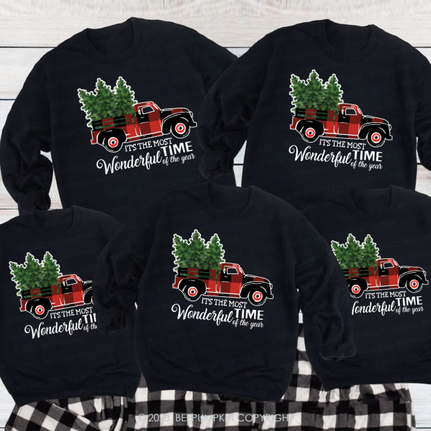 Most Wonderful Time Of The Year Christmas Family Sweatshirts