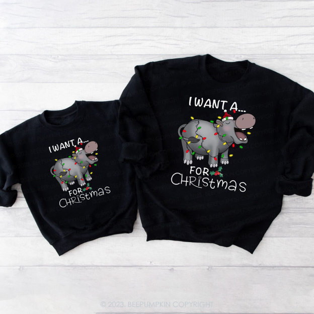 I Want a Rhino for Christmas Matching Family Sweatshirt