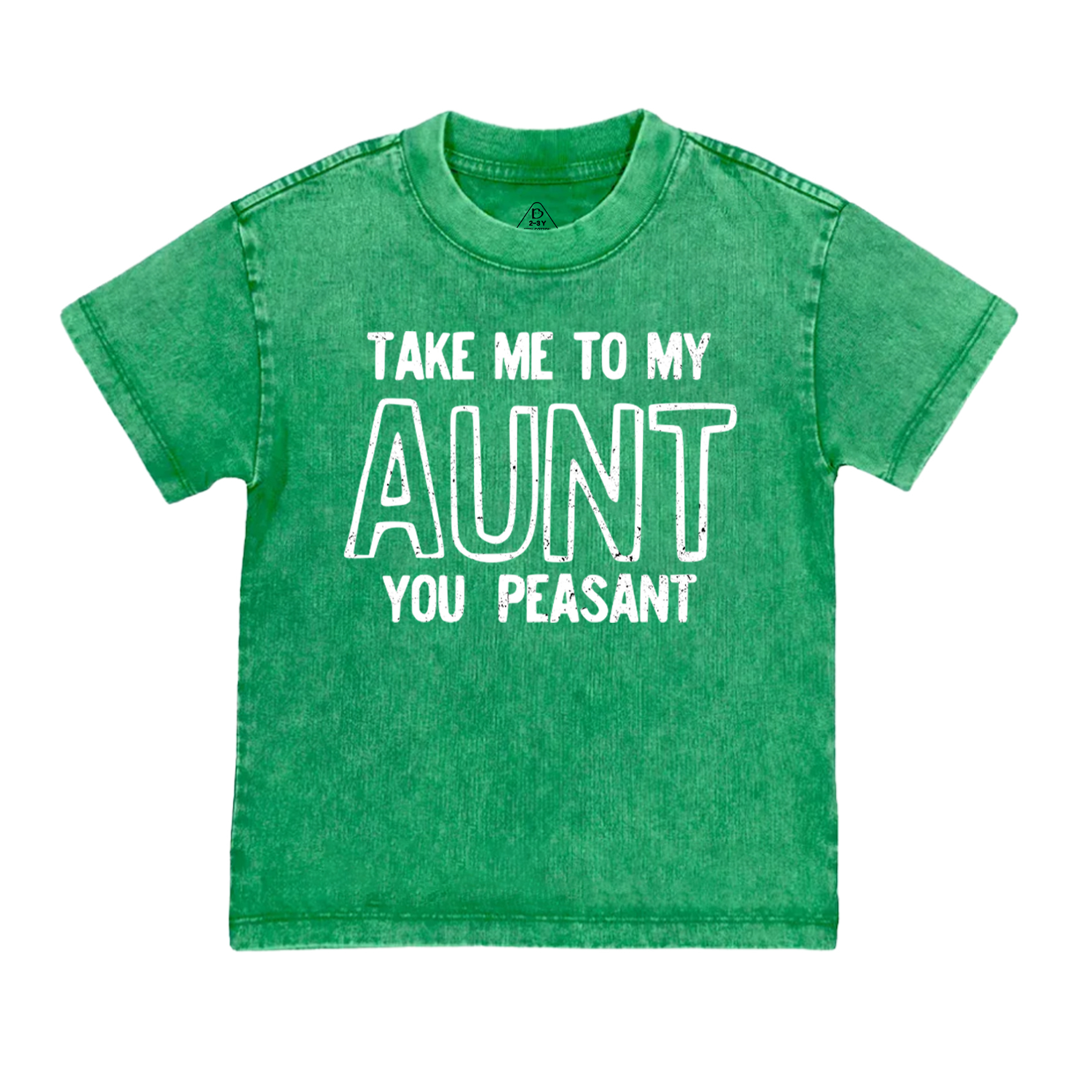 Take Me To My Aunt You Peasant Toddler&Kids Washed Tees
