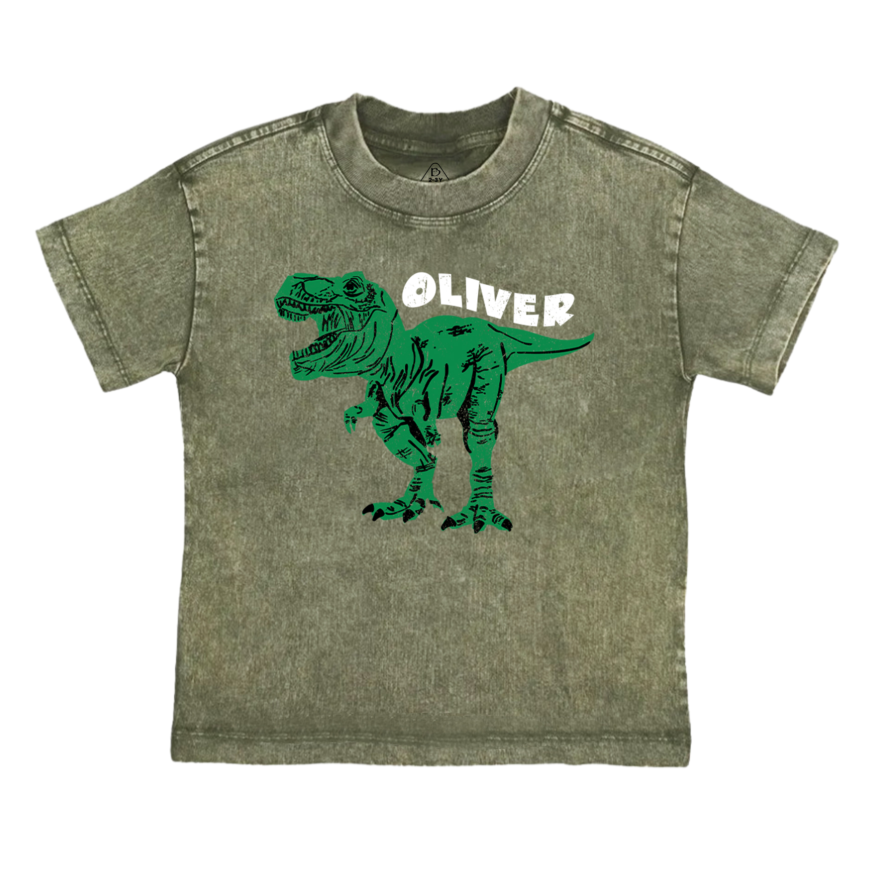  Personalized Dinosaur Toddler&Kids Washed Tees         