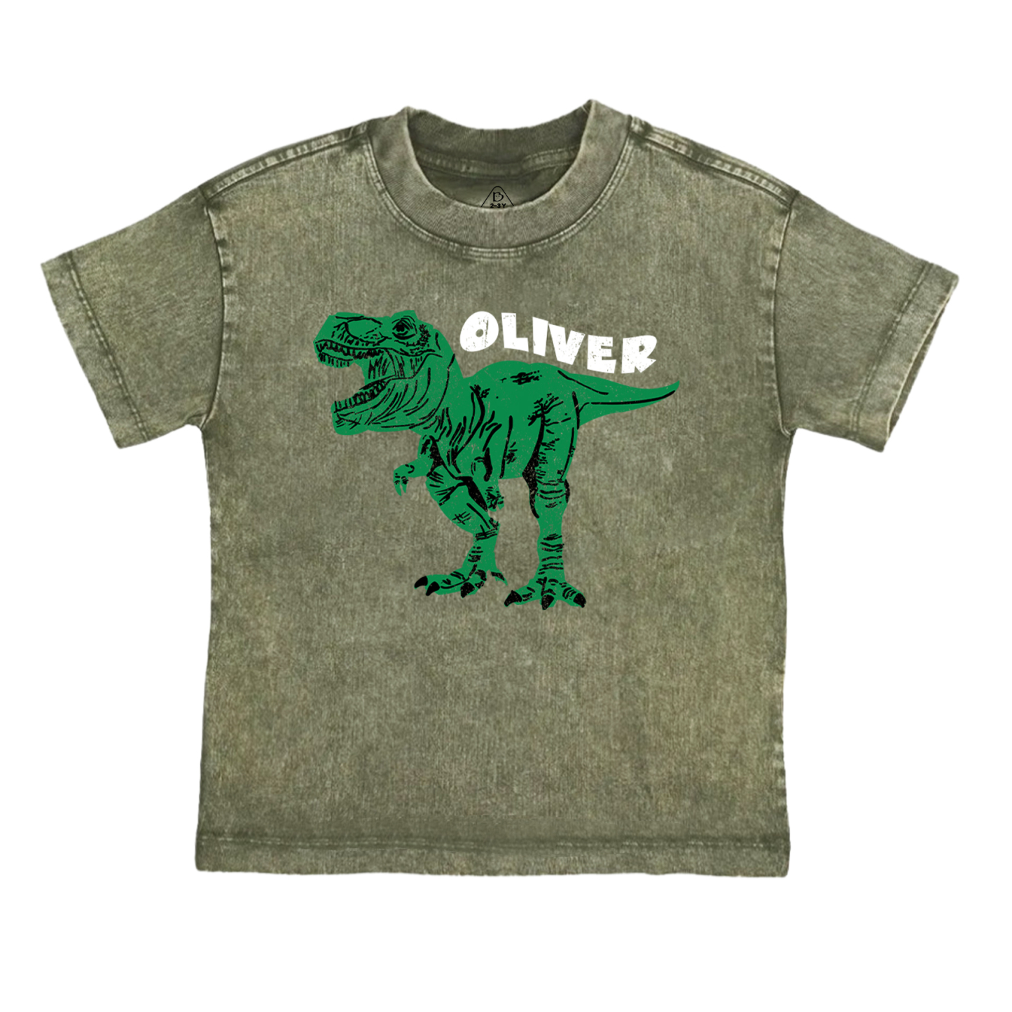  Personalized Dinosaur Toddler&Kids Washed Tees         