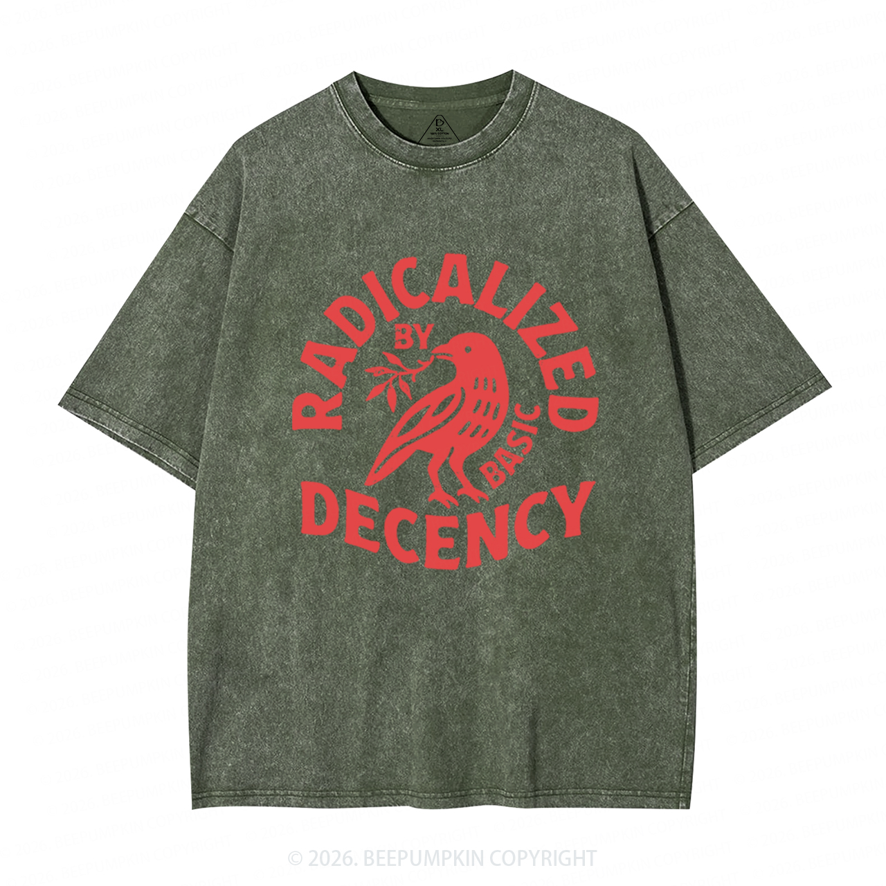 Radicalized By Basic Decency Washed T-Shirts