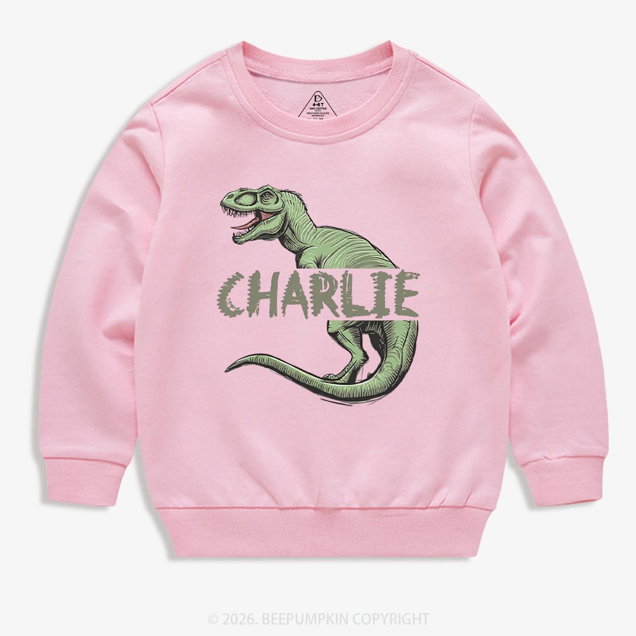 Personalized Roar And Explore Toddler&Kid's Sweatshirt