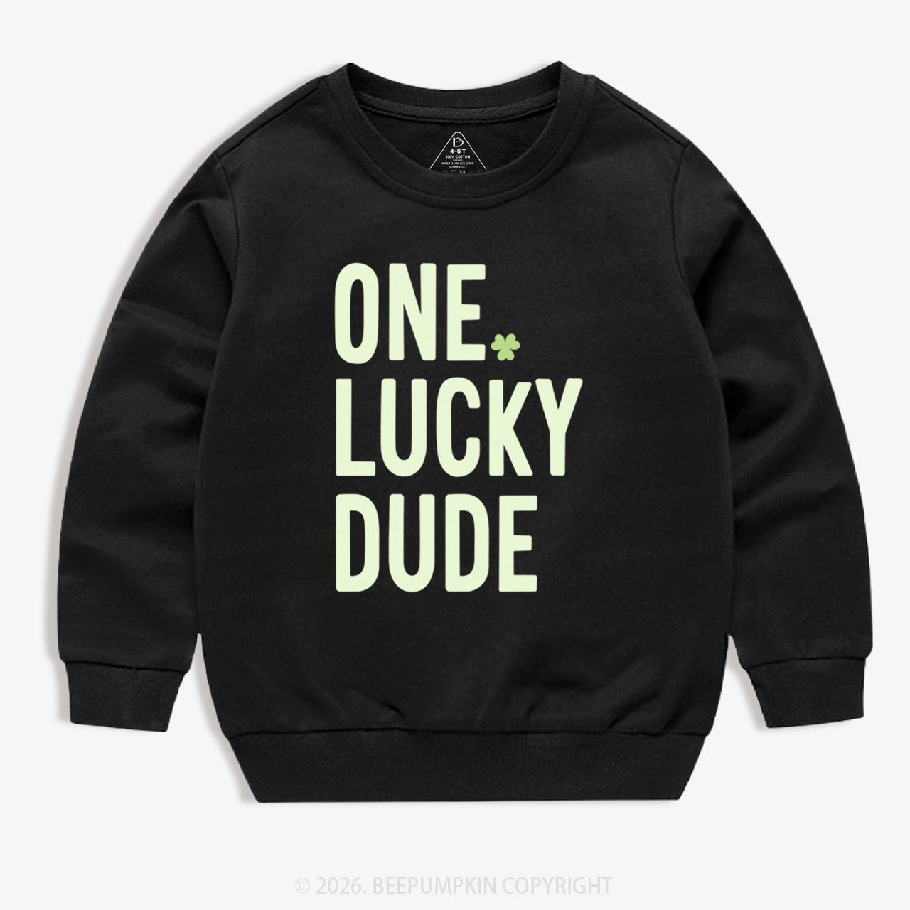 One Lucky Dude St. Patrick's Day Kid's Sweatshirt