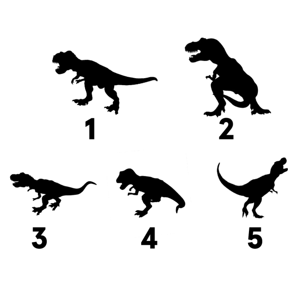 Custom Saurus Vacation Family Matching T-Shirts