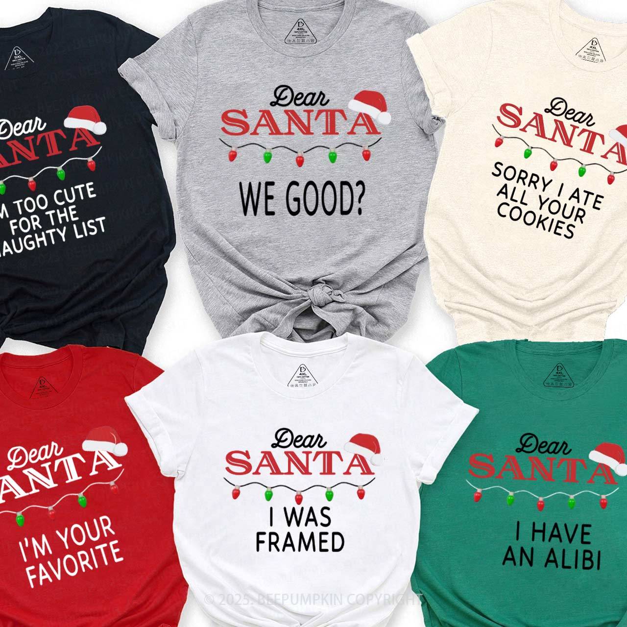 Personalized Dear Santa Christmas Family Matching T-Shirts Beepumpkin