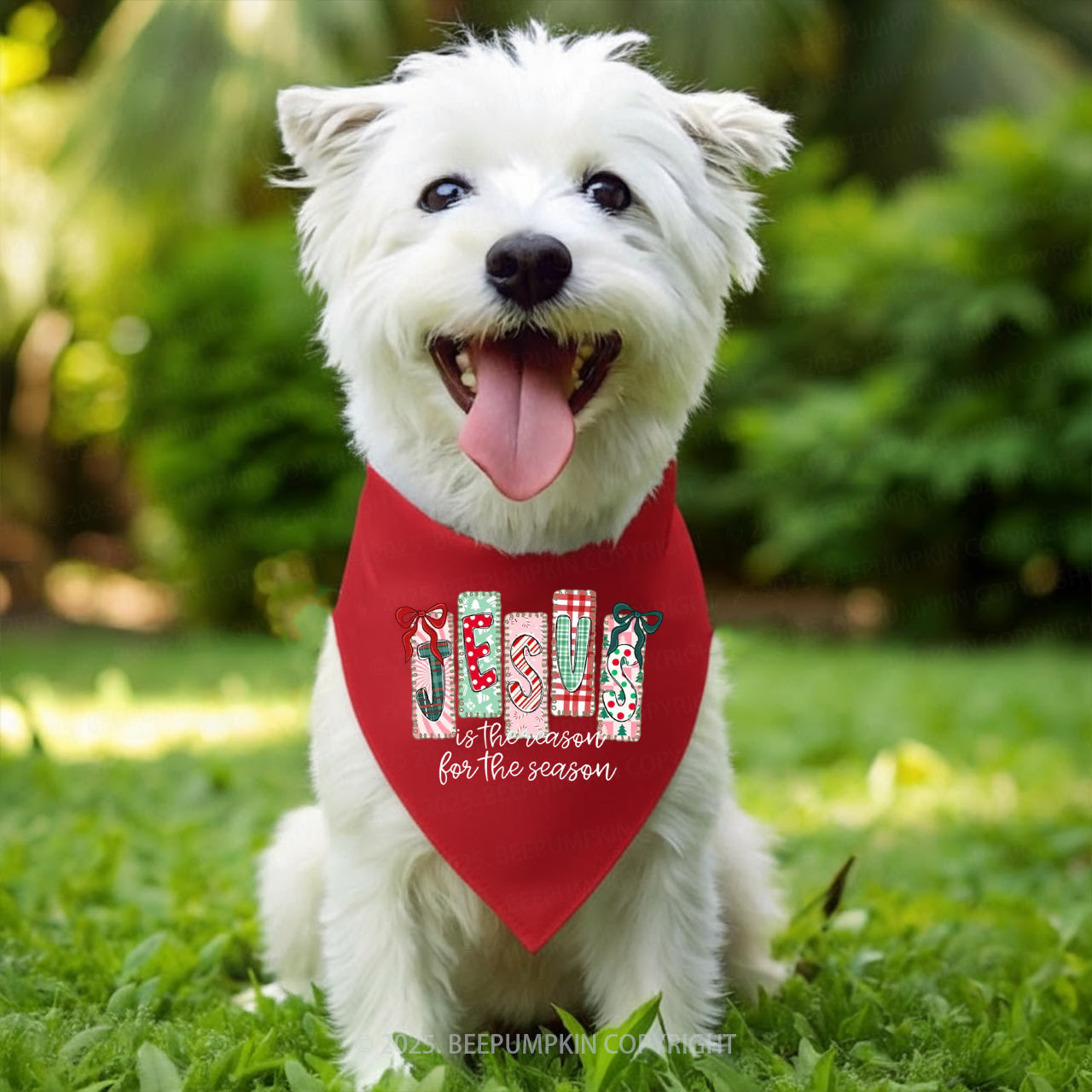 Jesus Is The Reason For The Season Family Matching T-Shirts Beepumpkin