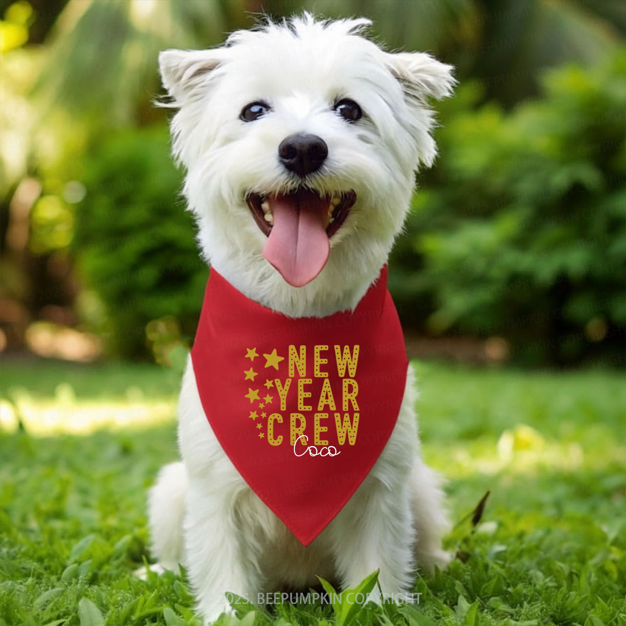 Personalized New Year Crew Family Matching T-Shirts Beepumpkin