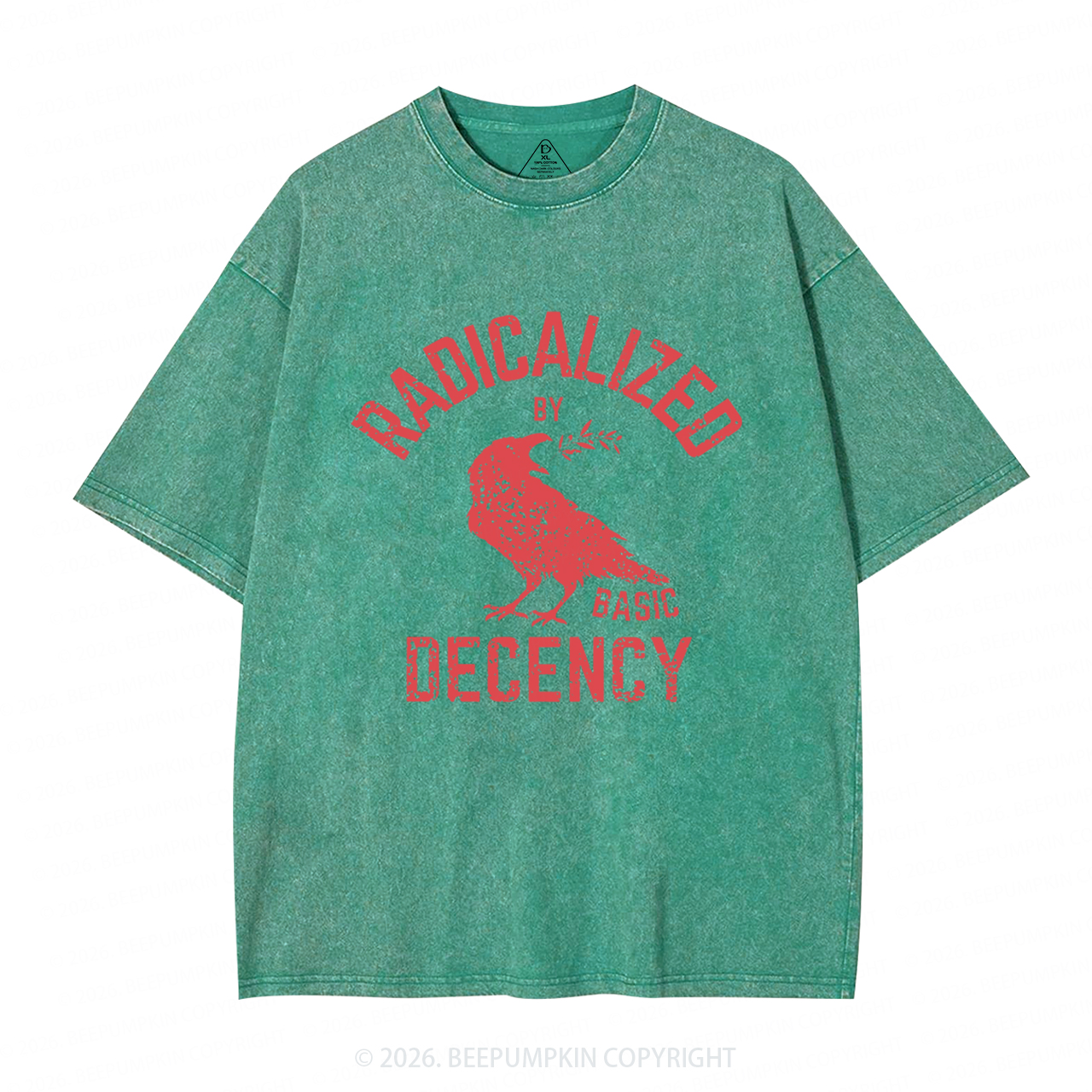 Radicalized By Basic Decency Equality Washed T-Shirts