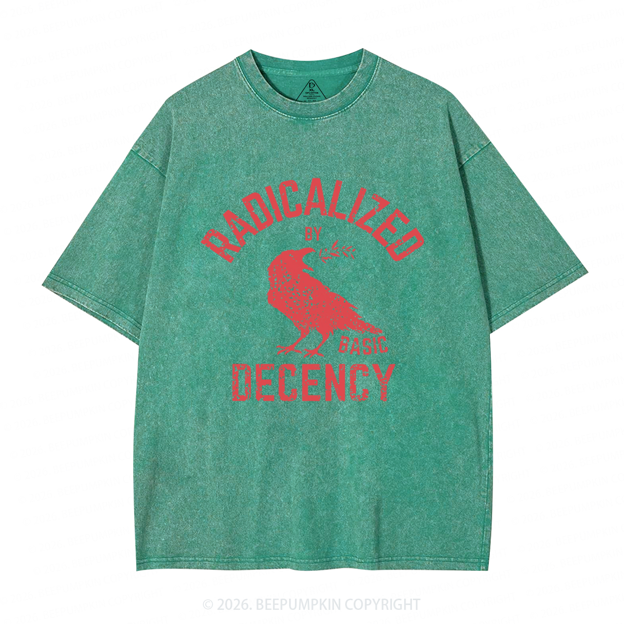Radicalized By Basic Decency Equality Washed T-Shirts