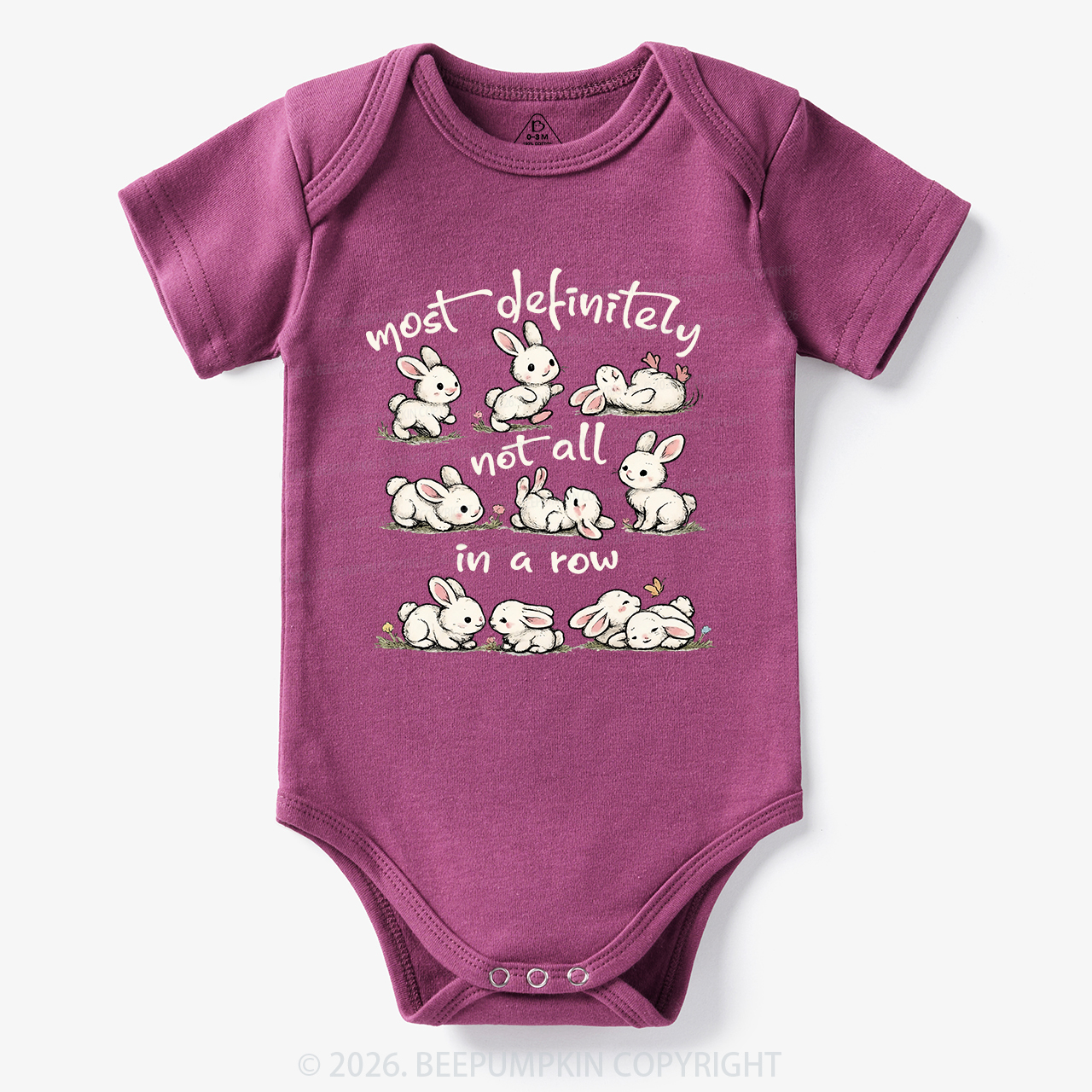 Funny Bunnies Not All In a Row Sarcastic Bodysuit