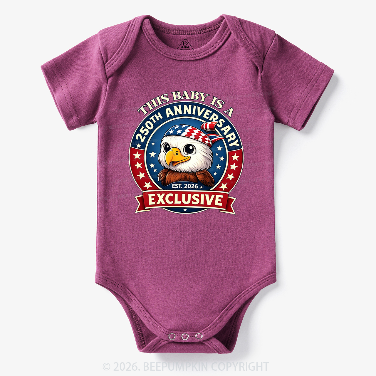 This Baby Is A 250th Anniversary Bodysuit