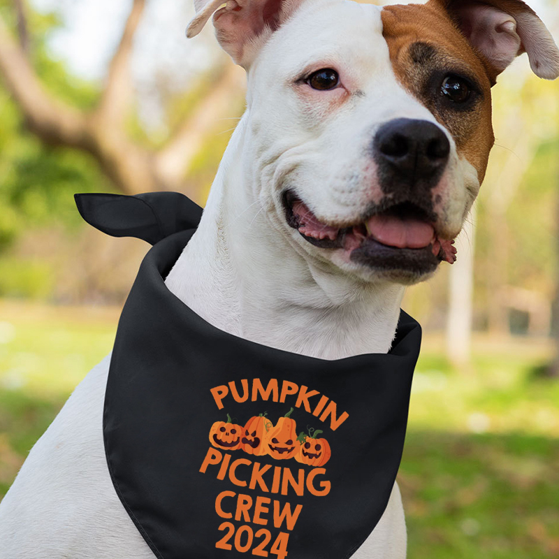 Pumpkin Picking Crew Halloween Matching Shirts