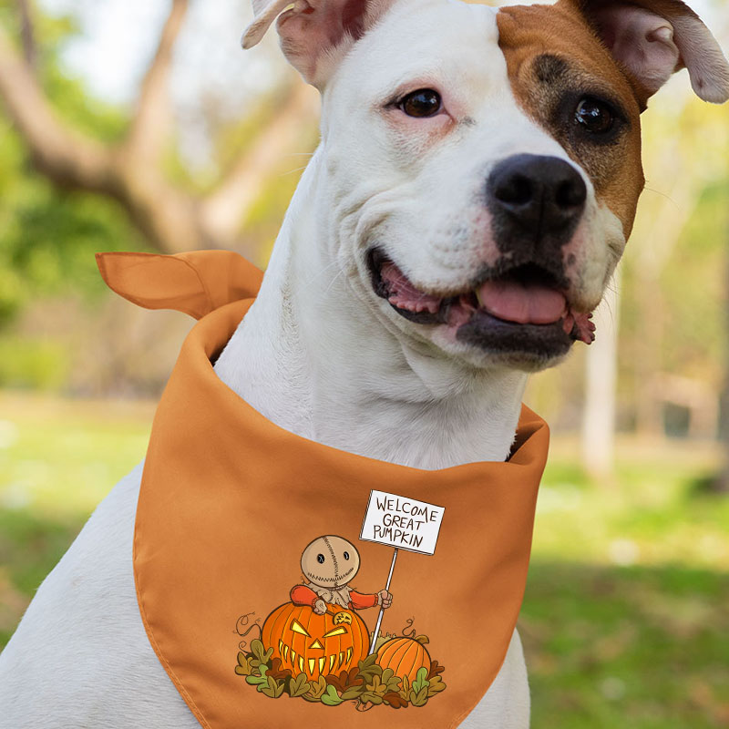 Welcome Great Pumpkin Halloween Matching Shirts