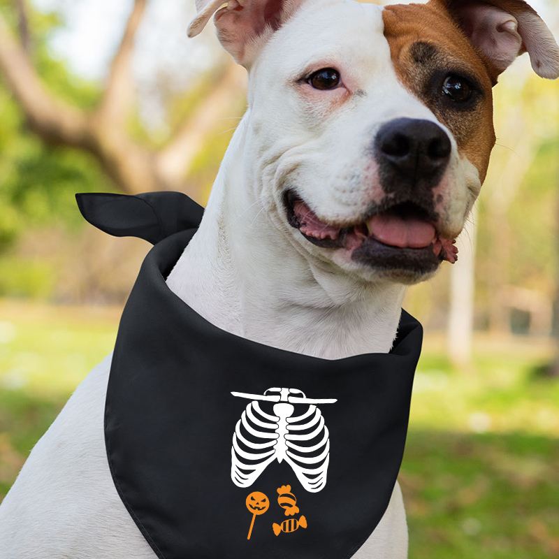 Halloween Skeleton Family Matching Shirt