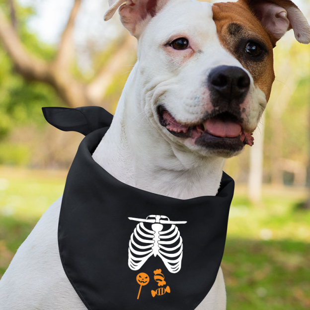 Halloween Skeleton Family Matching Shirt