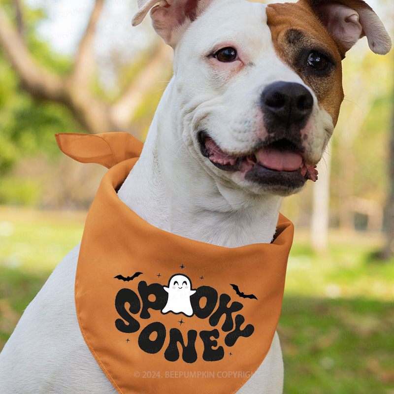 Personalized Spooky Halloween Family Matching Shirts