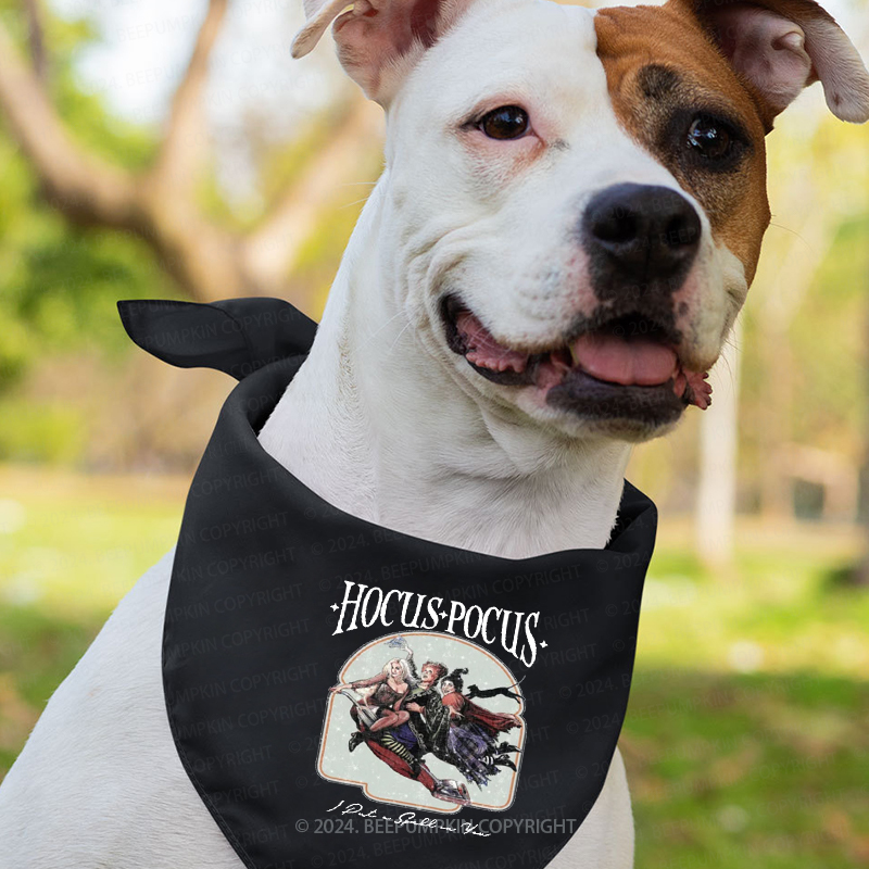 Vintage Hocus Pocus Halloween Family Matching Shirts