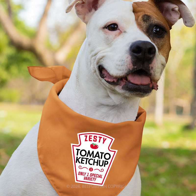 Halloween Condiment Family Matching Shirts