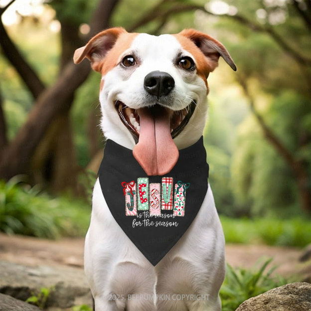 Jesus Is The Reason For The Season Family Matching T-Shirts Beepumpkin