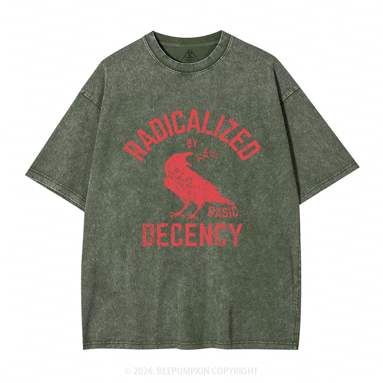Radicalized By Basic Decency Equality Washed T-Shirts